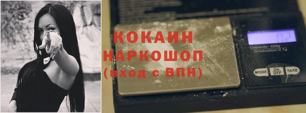 сатива Алзамай