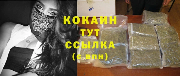 сатива Алзамай