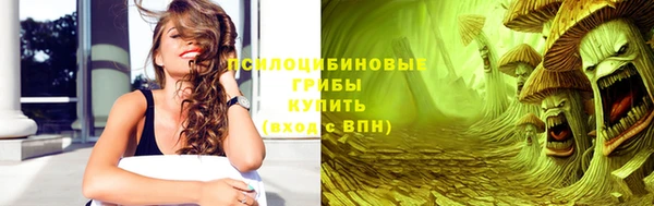 твердый Алексин